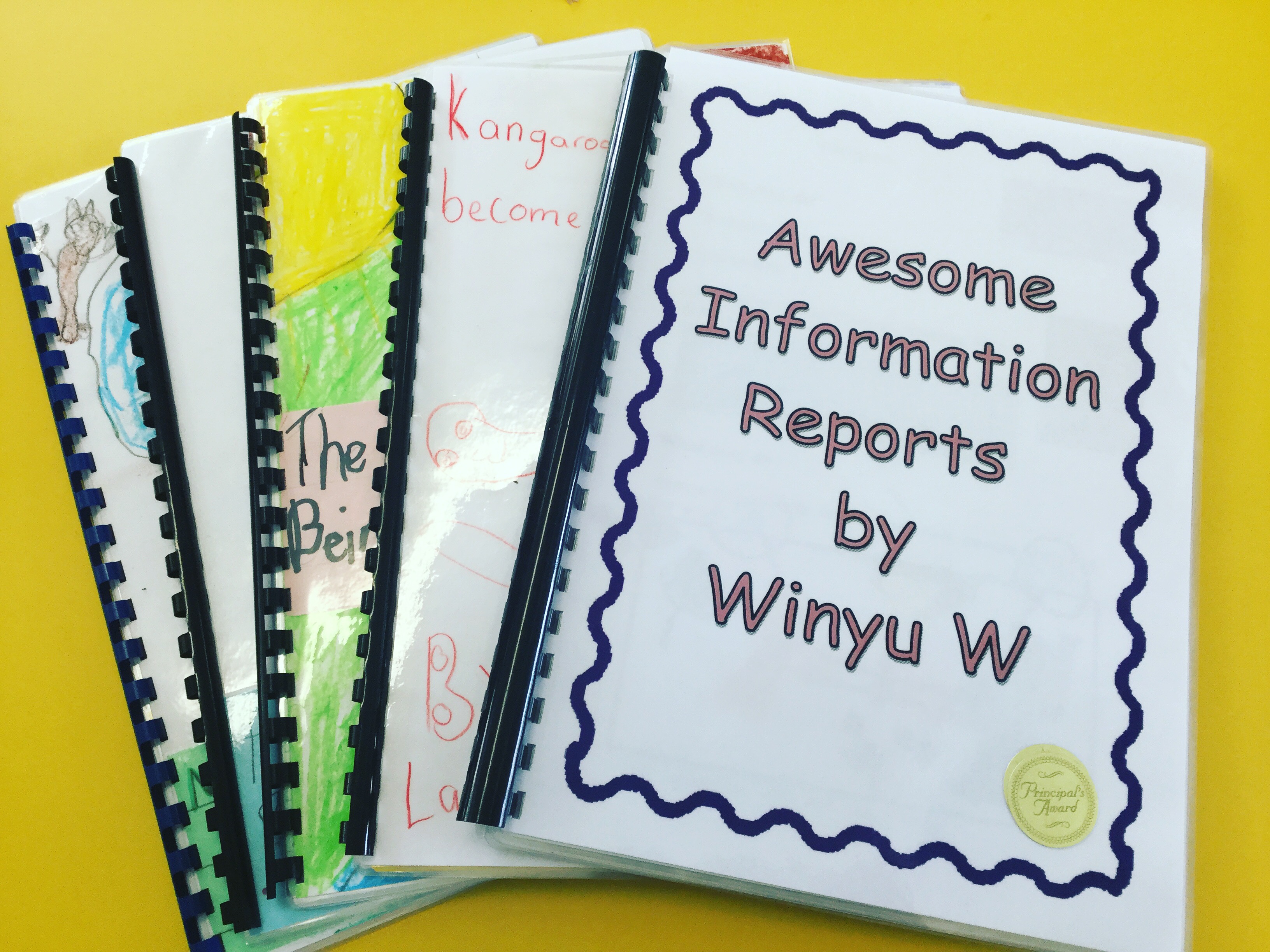 A selection of information reports that the students had written. 